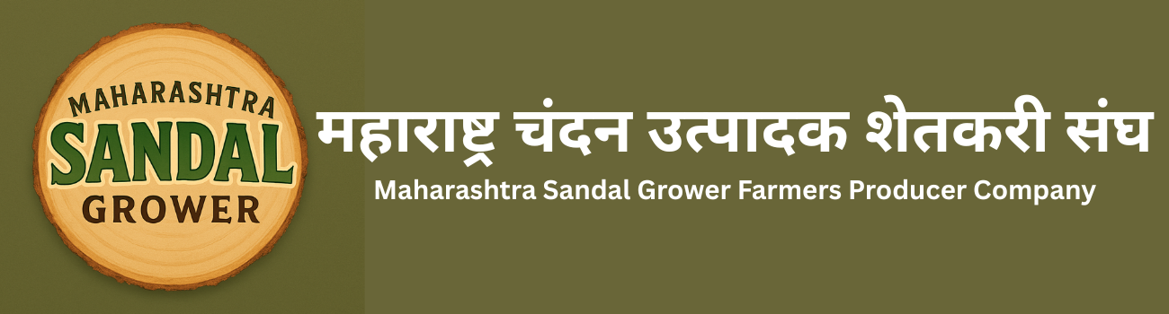 Maharashtra Sandal Grower